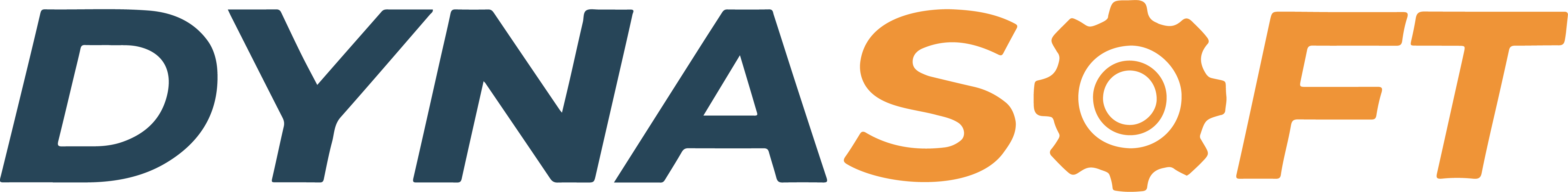 Dynasoft Logo
